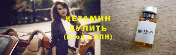 индика Волосово