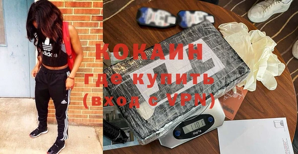 индика Волосово