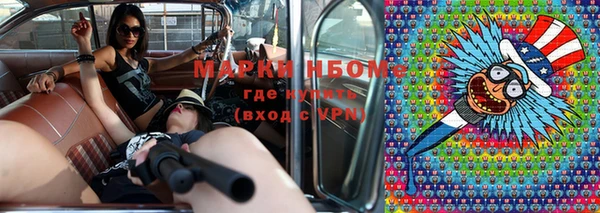 индика Волосово