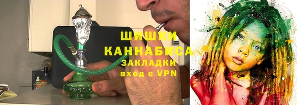 индика Волосово