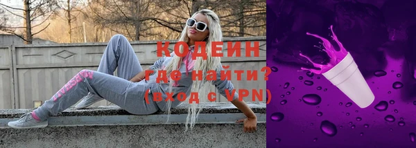 индика Волосово